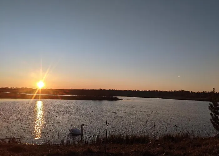 Cozy House With Sauna By The * Lokuti
